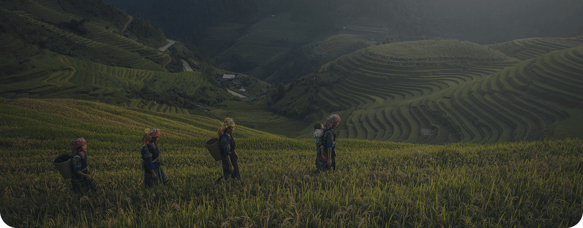 Agriculture Farm Lite Default Image